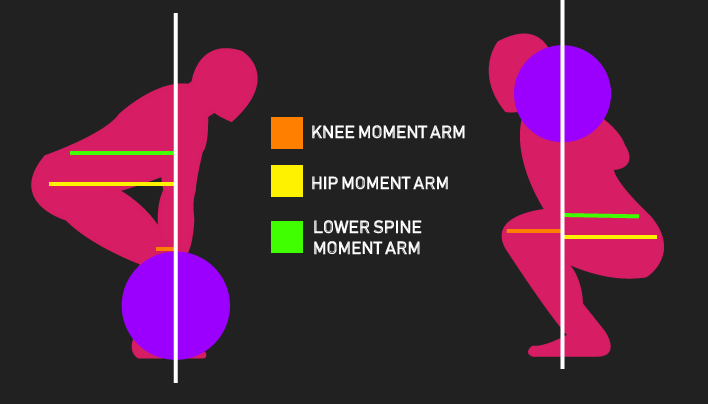 deadlift vs squat moment arms