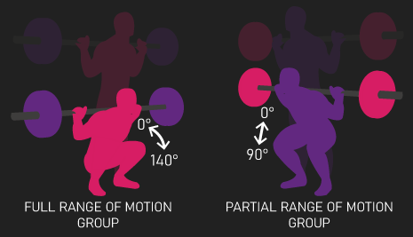 partial and full squat