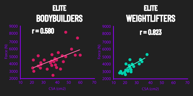 size and strength correlations